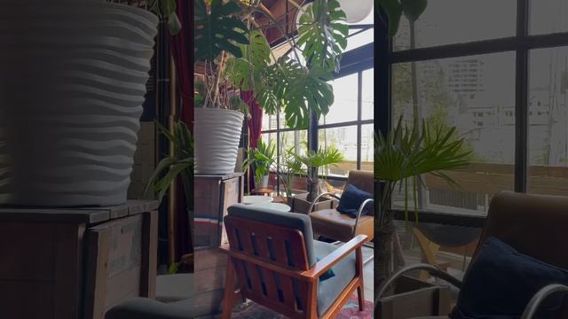 #цигун #travel #цигунонлайн #цигунтур #психология #цигундляначинающих #цигундома #медитация смотреть онлайн