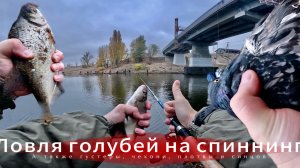 Ловлю на тирольскую палочку не только рыбу! С этой снастью даже на суп поймаешь...