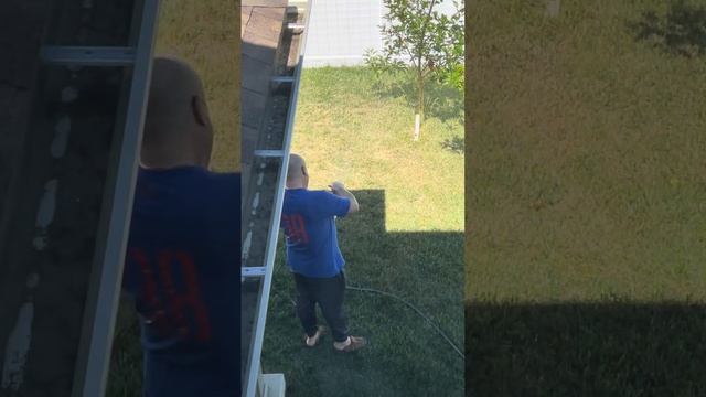 Dwarf Apple Tree in our Yard смотреть онлайн