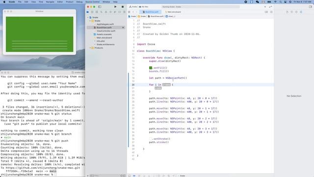 macOS Cocoa 019: Drawing 10 horizontal lines on green view смотреть онлайн