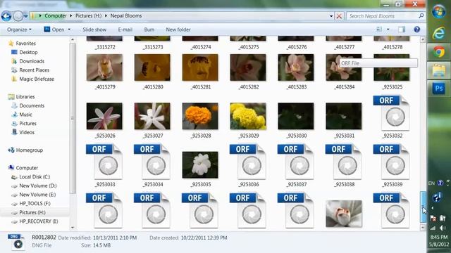 Microsoft Camera Codec Pack смотреть онлайн