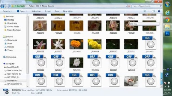 Microsoft Camera Codec Pack