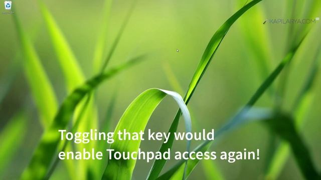 Solved: Touchpad not working on Windows 11 смотреть онлайн