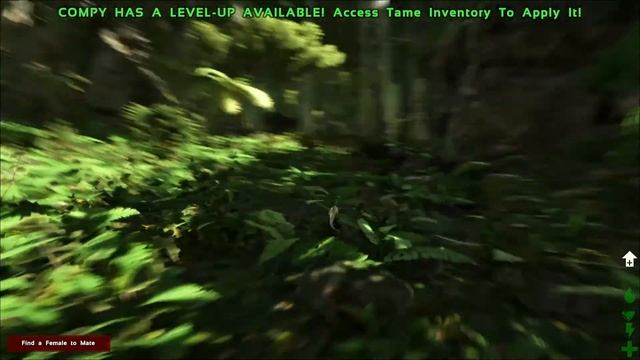 turok ark survival evolved смотреть онлайн