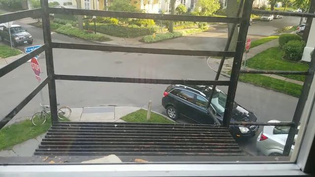 Squirrel Window Cam live смотреть онлайн