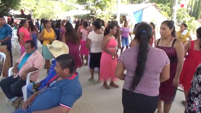 Festejo Matrimonial Jorge Luis y Maria Fani en Apanhuac Gro. parte 1 смотреть онлайн