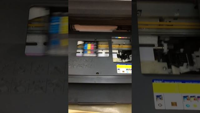Multifuncional EPSON CX5600 смотреть онлайн
