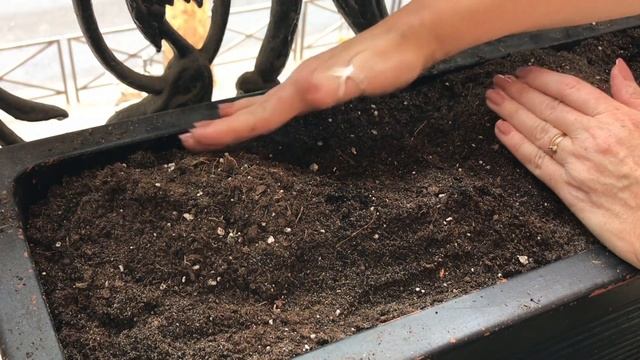 Rock garden window box design | My Paris balcony смотреть онлайн