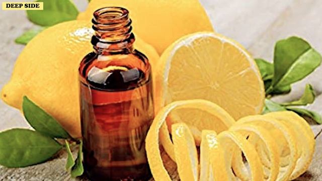 Place a Lemon Near Your Bed, See What Happens Next смотреть онлайн