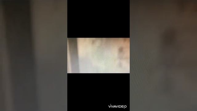 Codec de áudio iPhone 7 Plus смотреть онлайн