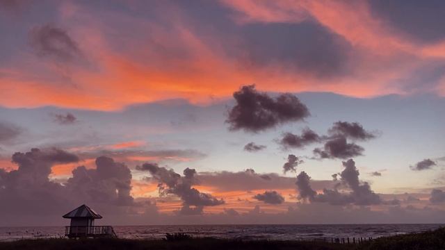 Pink Dream Sunrise -- iPhone 11 Pro Video смотреть онлайн