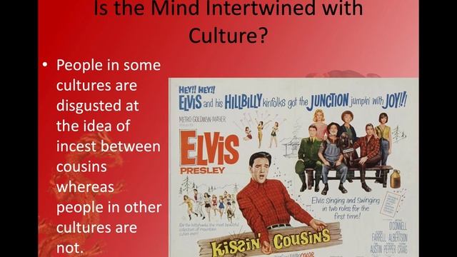 Cultural Psychology Chapter 1 смотреть онлайн