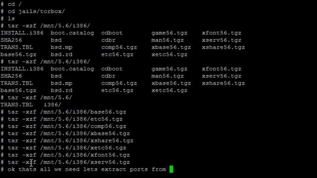 Creating a Chroot in OpenBSD 5.6 смотреть онлайн