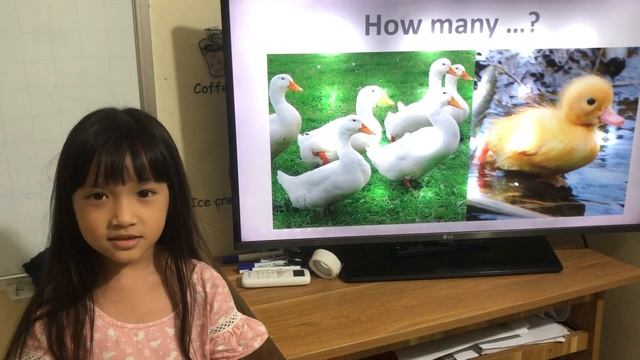 Bảo Châu - How many apples? - N3FF0 Ms Anna class смотреть онлайн