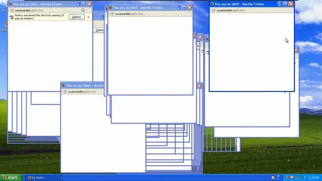 You Are An Idiot Virus on Windows XP смотреть онлайн