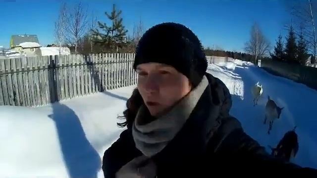Плюсы и минусы жизни в деревне смотреть онлайн