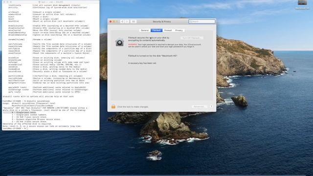 Test AWErese for macOS, a simple tool to secure erase HDD and SSD disk смотреть онлайн
