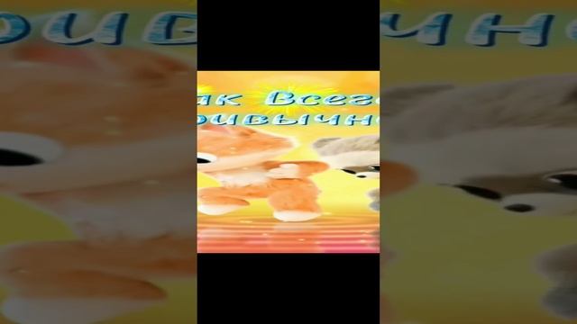 #Всем отличного настроения😍🤩 смотреть онлайн