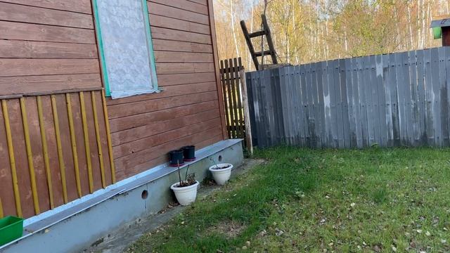 дача СНТ Рот-Фронт осень 24 смотреть онлайн