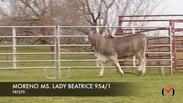 MORENO MS. LADY BEATRICE 954/1 смотреть онлайн