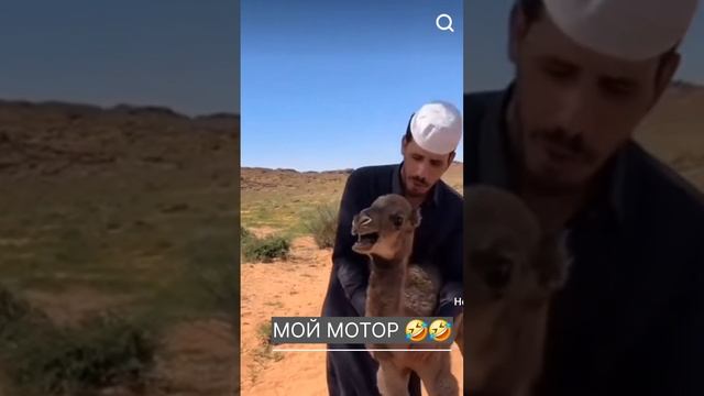 Ну как же без юмора?) смотреть онлайн