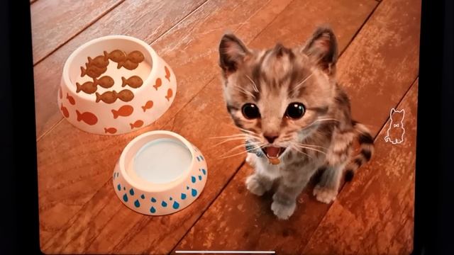 LITTLE KITTEN ADVENTURE PLAY SWIMMING POOL - FUNNY KITTY & FRIENDS ADVENTUROUS JOURNEY FOR KIDS смотреть онлайн