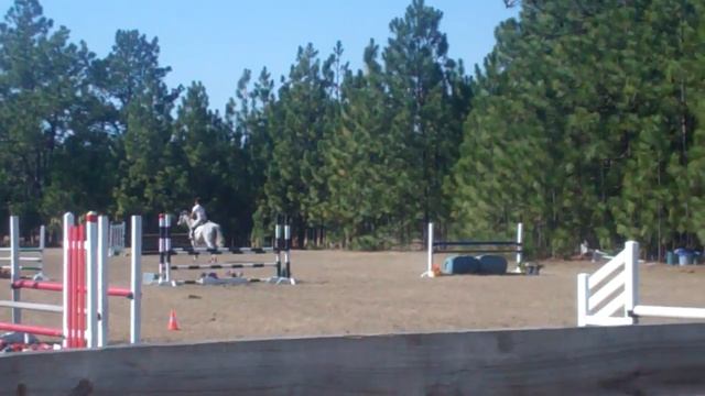 Ninette show jumping at Apple Tree Farm, 3/6/12. смотреть онлайн