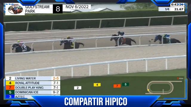 ||JARAMILLO|| ECHANDO CANDELA EN LA 8VA DE GULFSTREAM PARK DEMOSTRANDO SER EL MAESTRO VELOCISTA. смотреть онлайн
