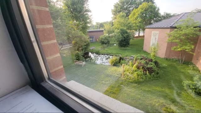 Looking Out the Window. Live Cam. Watch This Video and Pray to God! #livescreensaver смотреть онлайн