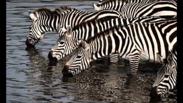 Unit 8 Movie Maker - Explain! смотреть онлайн