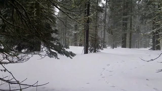 MAC-GEAR Ultralight Hammock system смотреть онлайн
