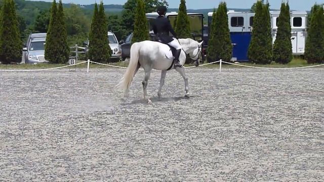 Eldorado 6/14/15 Orchard Hill dressage BNA смотреть онлайн