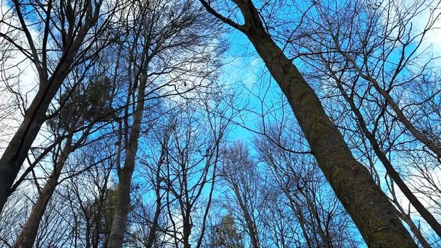Aussichtspunkt Ulm, Eselsberg смотреть онлайн