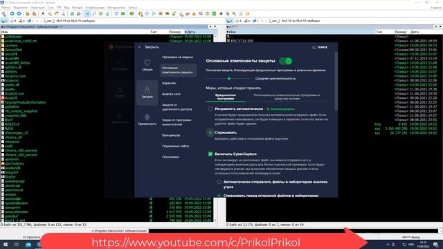 Avast Business Antivirus (Pro, Pro Plus) смотреть онлайн