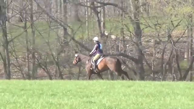 Margaret McKelvy With Runsonstilts: Training XC @ Loch Moy Starter (April 2016)