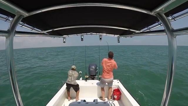 Mac - Tarpon X3 смотреть онлайн