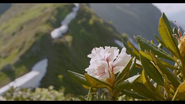 Exclusive || Beautiful Mountain View || Make you Feel WOW, Calm & Relax || latestnewsinfo смотреть онлайн