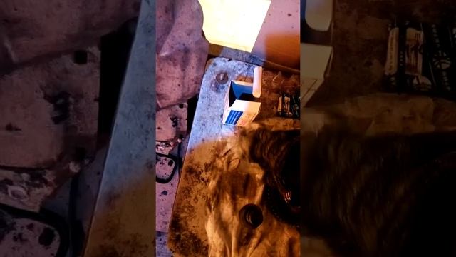 Масляные каналы в блоке двс 4100QBZL BAW 1044 E2 смотреть онлайн