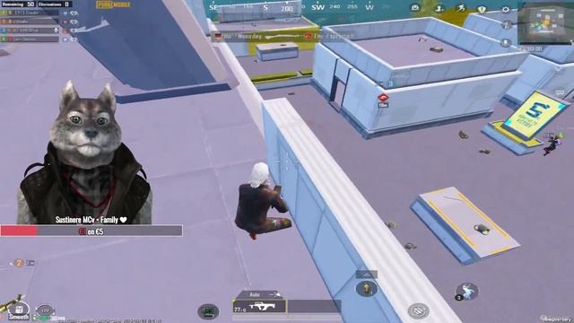 PUBG EMULATOR LIVE LOCALE смотреть онлайн