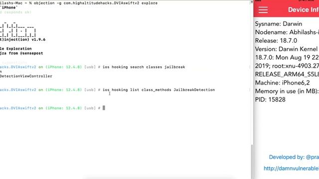 Frida Objection - List method of a class смотреть онлайн