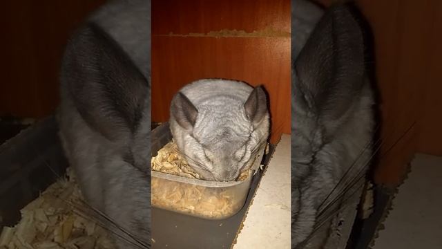 Подготовка к родам.