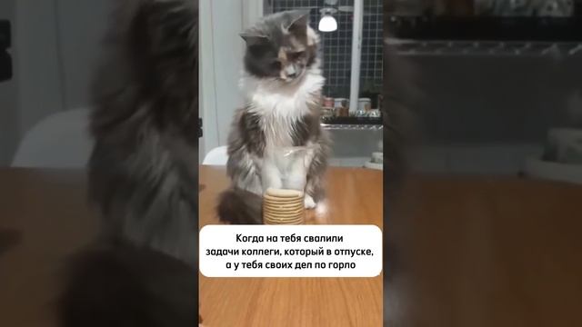 СТРАТЕГИЯ ЛИДЕРА