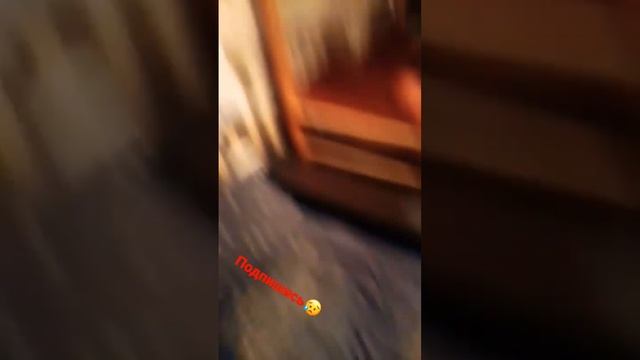#Полители.