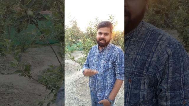 News 18 Reporter at my Apple Garden @applegardennarauli смотреть онлайн