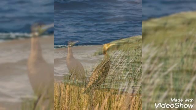 Октябрь 2024 в Светлогорске смотреть онлайн