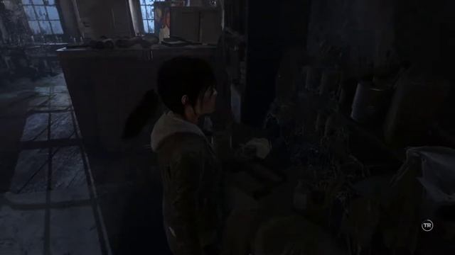 Rise of the Tomb Raider - Full Story Playthrough - BLOOD TIES 2 (GTX 1080 Ti, 1440p, Max Settings) смотреть онлайн