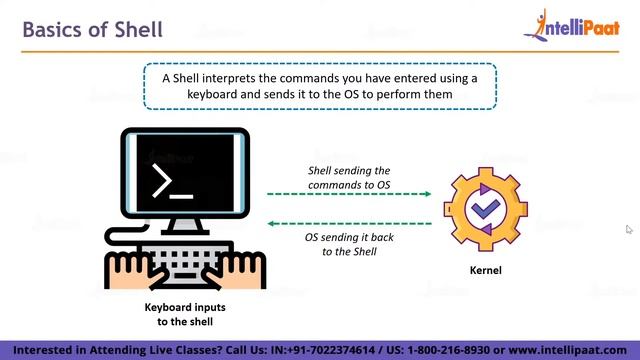 Introduction to Linux Operating System | Linux Tutorial For Beginners Part-1 | Intellipaat смотреть онлайн