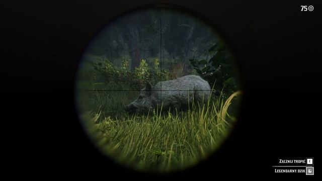 Z kamerą wśród aligatorów | Red Dead Redemption 2 [odc.20] смотреть онлайн