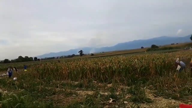 Mga makabagong makinarya sa magsasaka|Buhay probinsya|tambals 🌽🌴🌳🍁💐🌸🕸🦗 смотреть онлайн