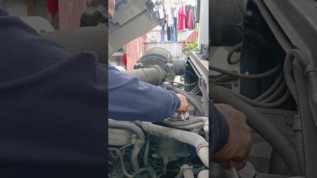 ISUZU 6WF1 , Replace Fuel Filter.#video #mechanic #automechanic  #automobile